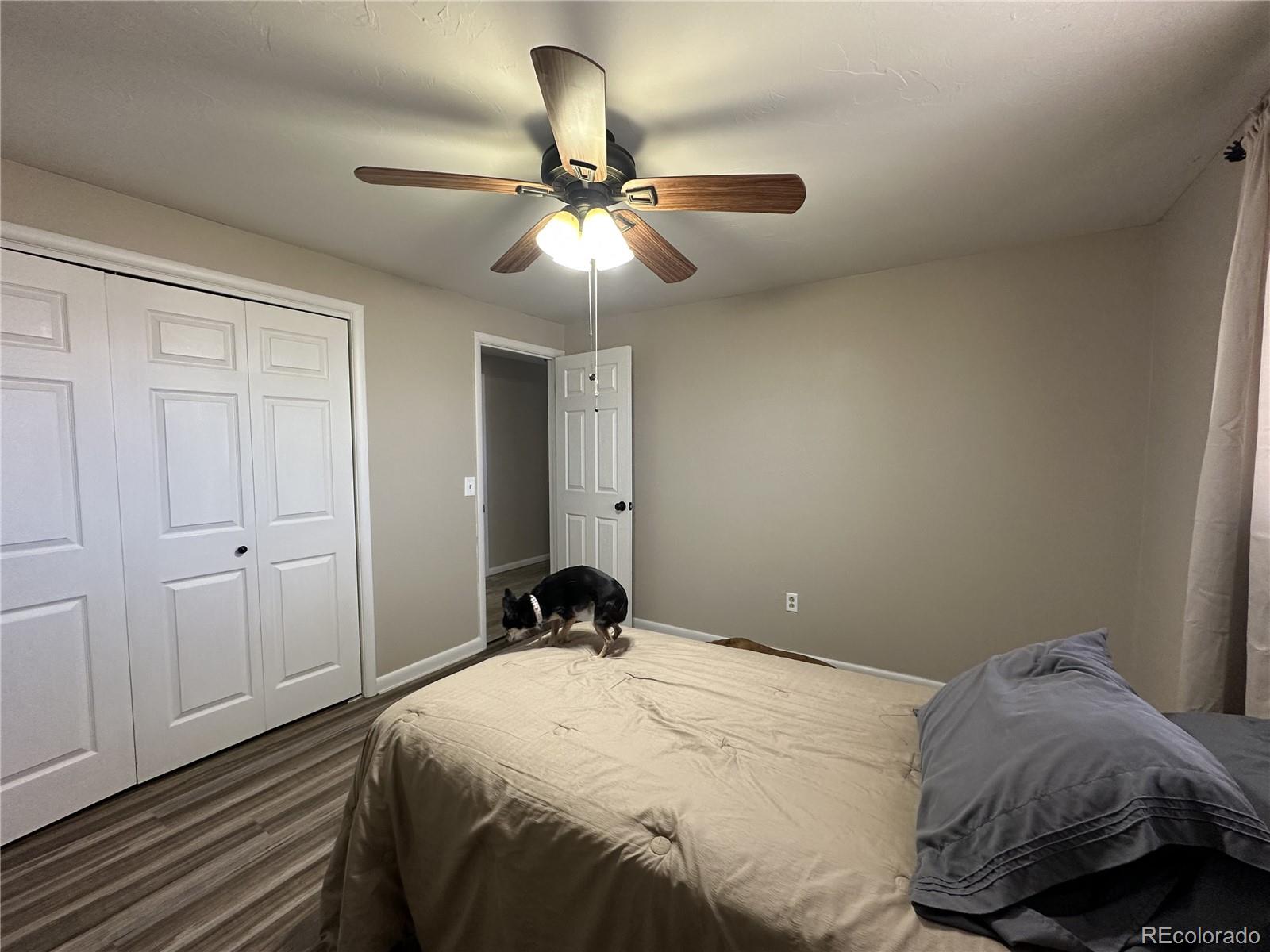 5879 Blue Spruce Avenue Alamosa CO 81101