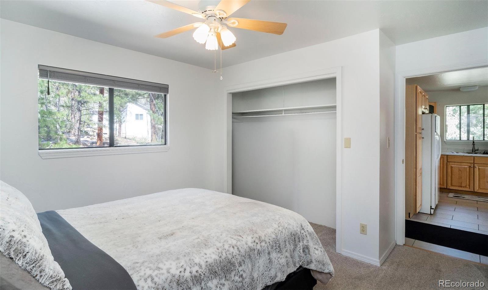 11744 S Stallion Drive Pine CO 80470