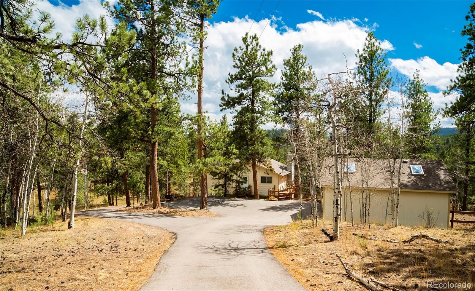 11744 S Stallion Drive Pine CO 80470