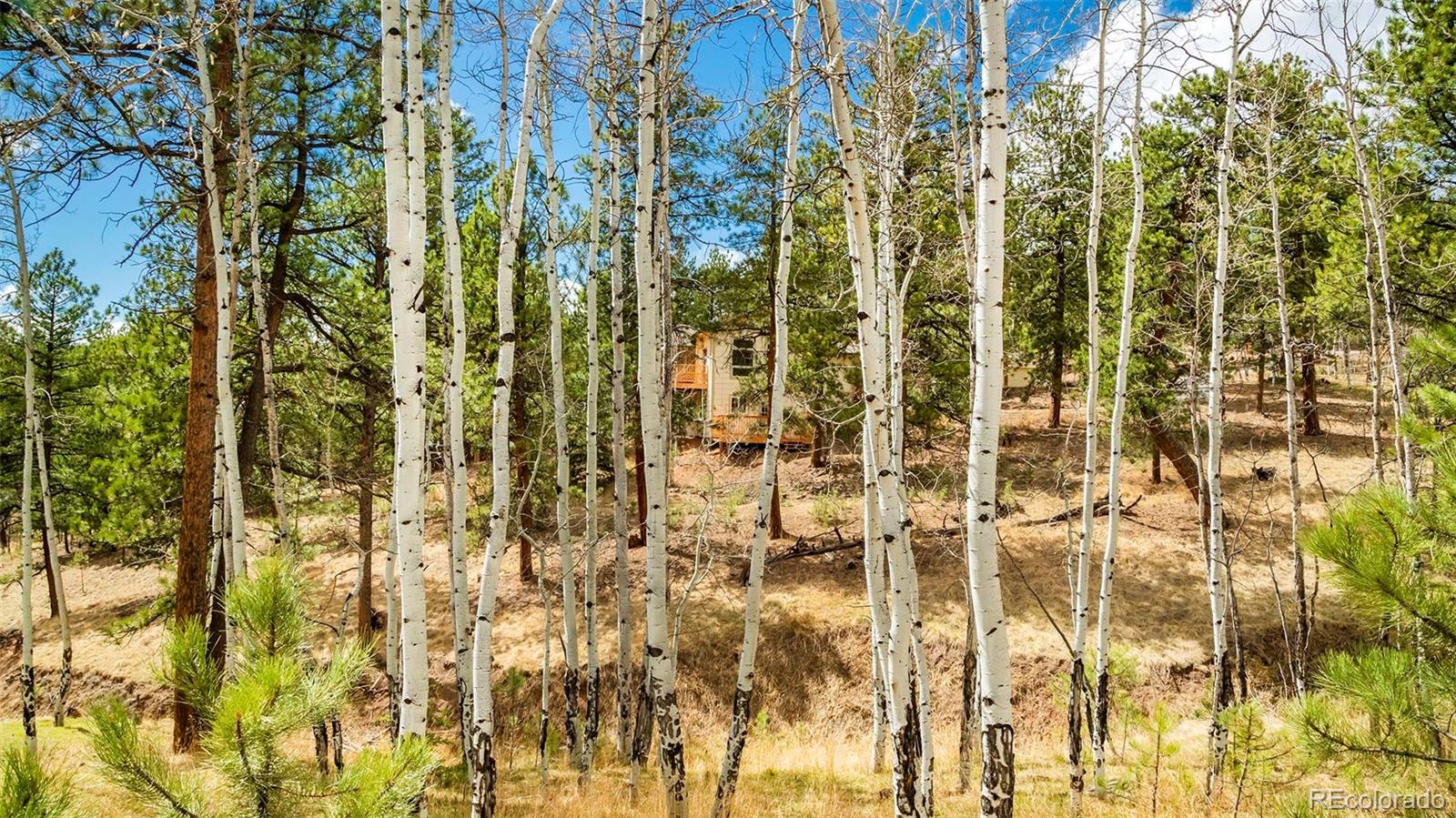 11744 S Stallion Drive Pine CO 80470