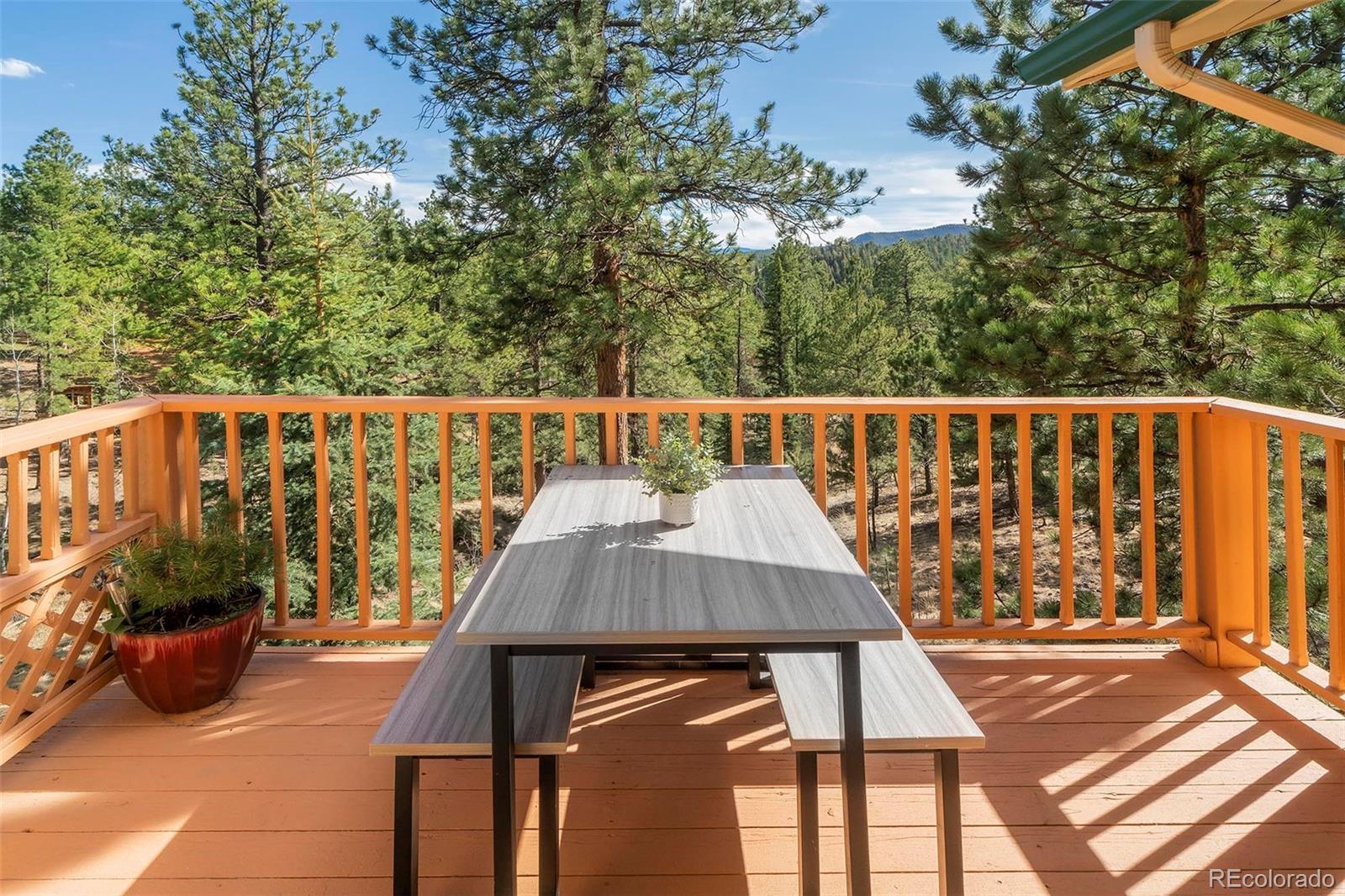 11744 S Stallion Drive Pine CO 80470