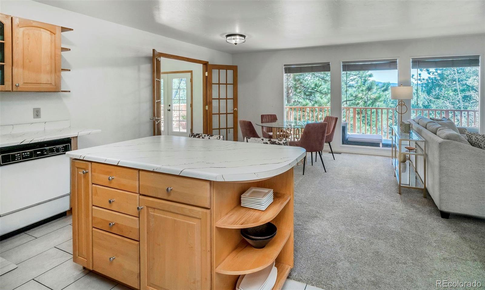 11744 S Stallion Drive Pine CO 80470