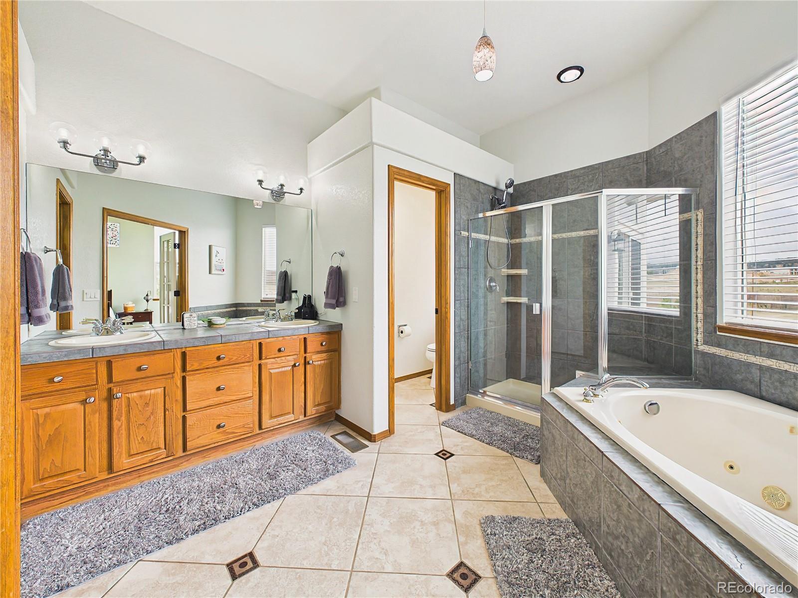 16125 Gold Creek Drive Monument CO 80132