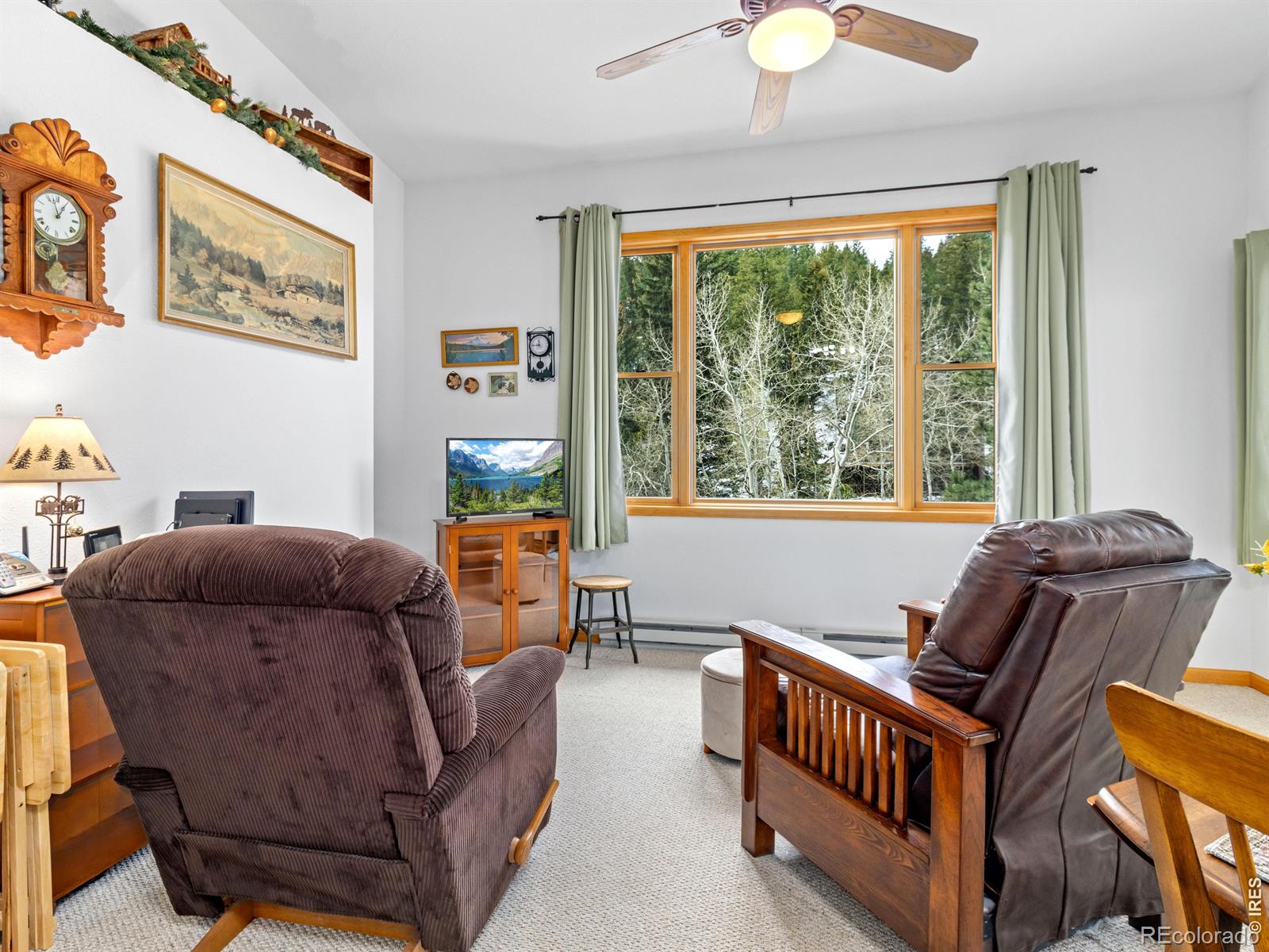 1002 Streamside Drive Glen Haven CO 80532