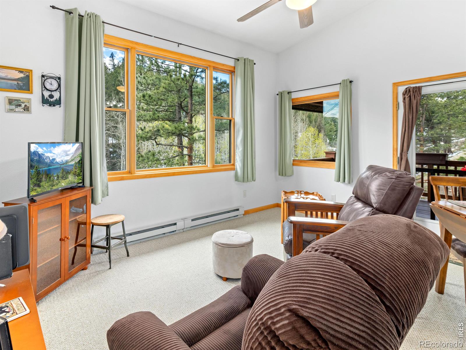1002 Streamside Drive Glen Haven CO 80532