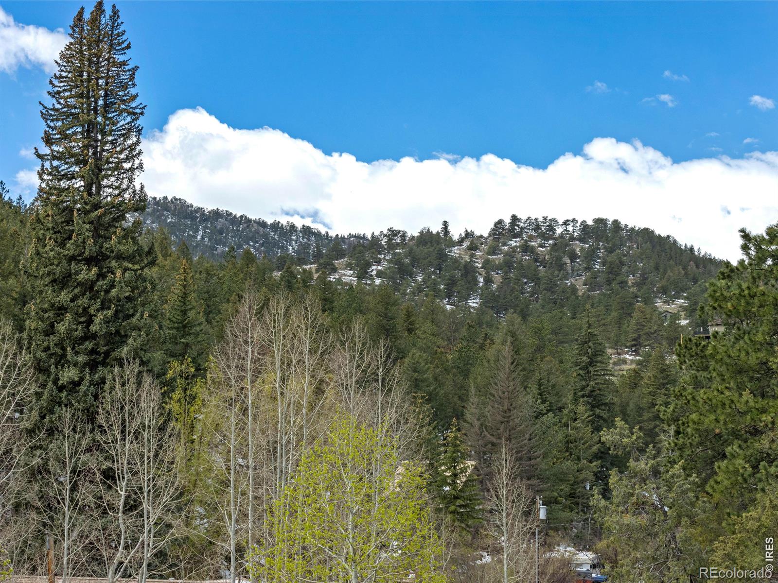 1002 Streamside Drive Glen Haven CO 80532