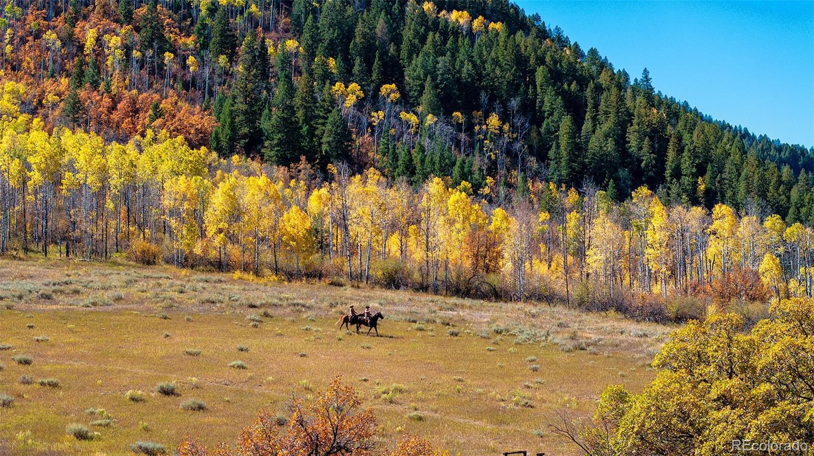 30680 County Road 12 Somerset CO 81434