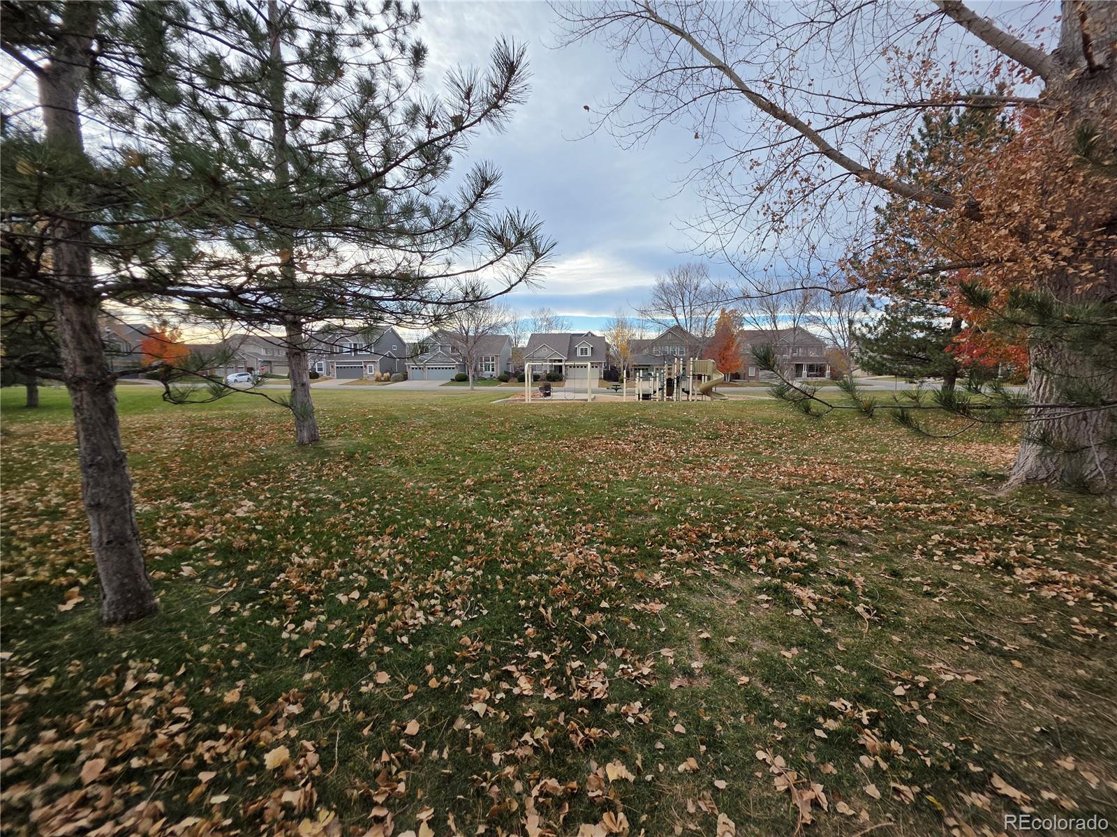 14985 Elizabeth Street Thornton CO 80602