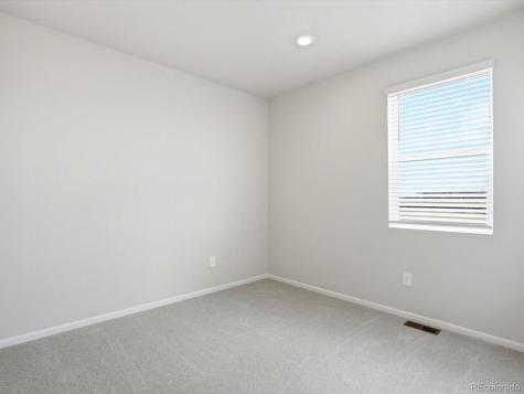 1216 Spring Creek Drive Windsor CO 80550