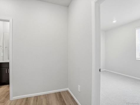 1216 Spring Creek Drive Windsor CO 80550