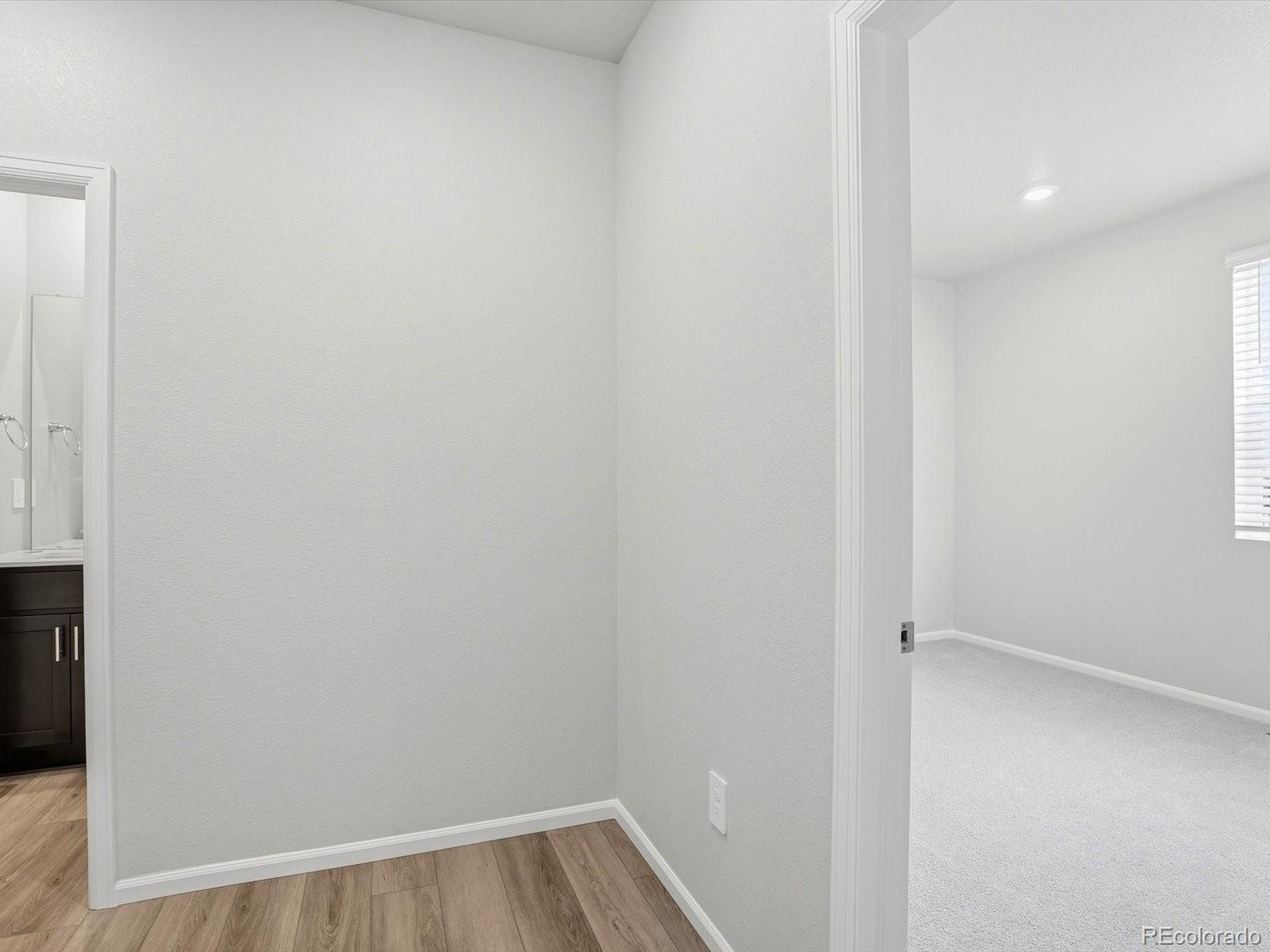 1216 Spring Creek Drive Windsor CO 80550