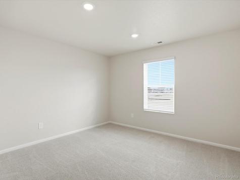 1216 Spring Creek Drive Windsor CO 80550