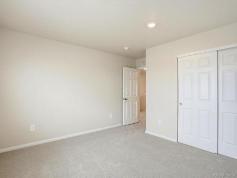 1216 Spring Creek Drive Windsor CO 80550