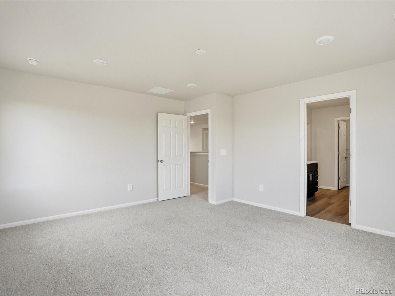 1216 Spring Creek Drive Windsor CO 80550
