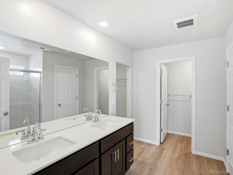 1216 Spring Creek Drive Windsor CO 80550
