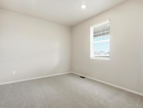 1216 Spring Creek Drive Windsor CO 80550