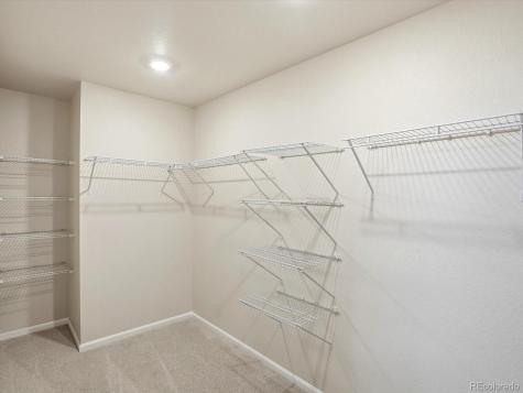 1216 Spring Creek Drive Windsor CO 80550