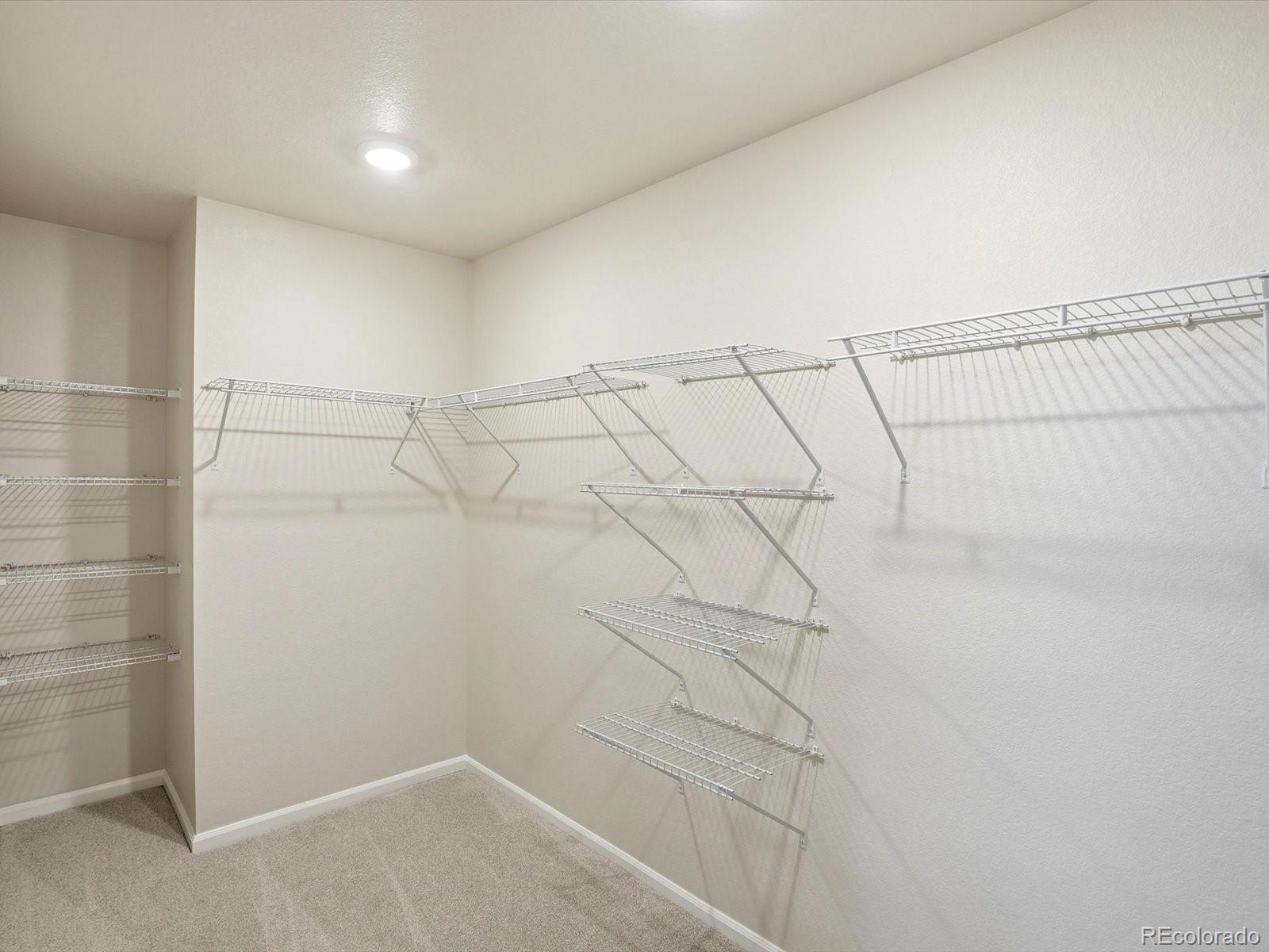 1216 Spring Creek Drive Windsor CO 80550
