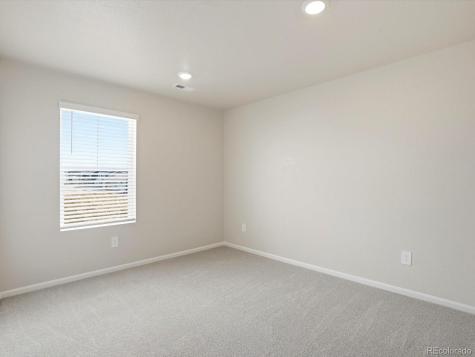 1216 Spring Creek Drive Windsor CO 80550
