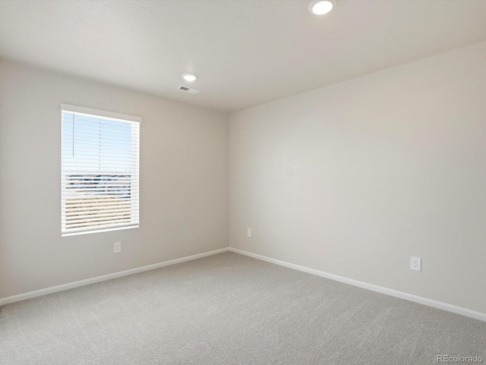 1216 Spring Creek Drive Windsor CO 80550