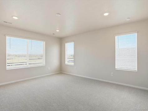 1216 Spring Creek Drive Windsor CO 80550