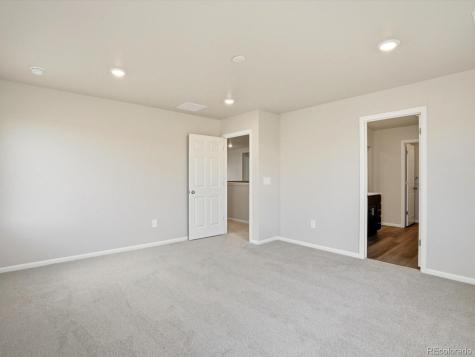 1216 Spring Creek Drive Windsor CO 80550
