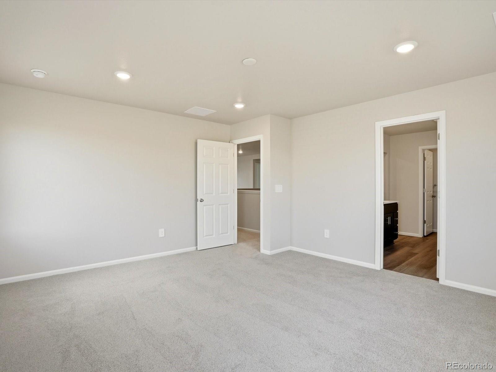 1216 Spring Creek Drive Windsor CO 80550