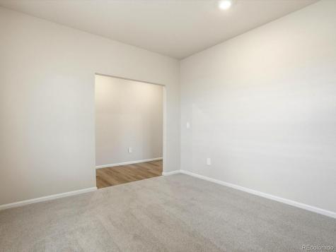 1216 Spring Creek Drive Windsor CO 80550