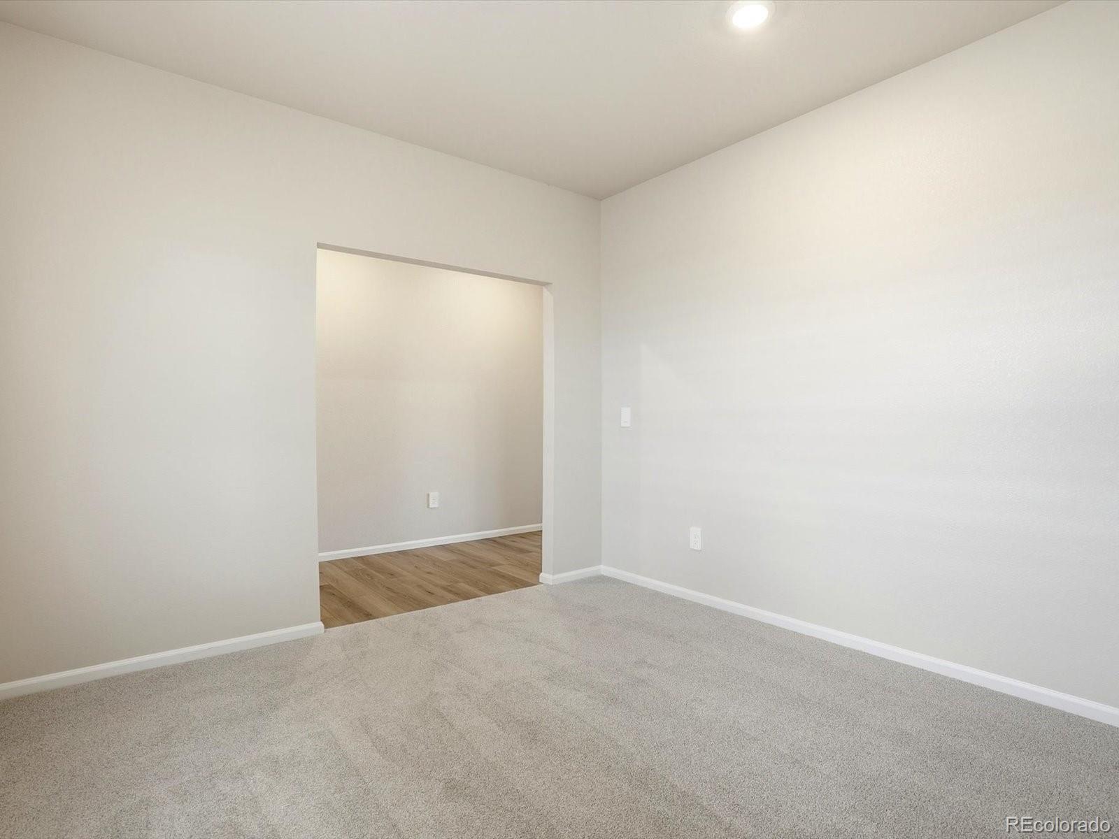 1216 Spring Creek Drive Windsor CO 80550