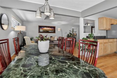 2907 E Euclid Place Centennial CO 80121