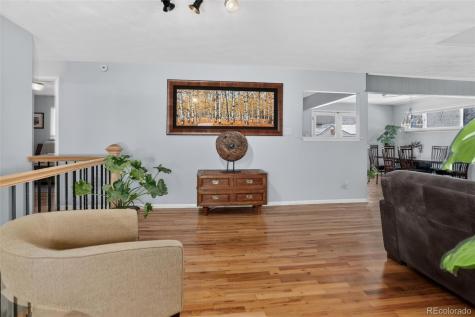 2907 E Euclid Place Centennial CO 80121