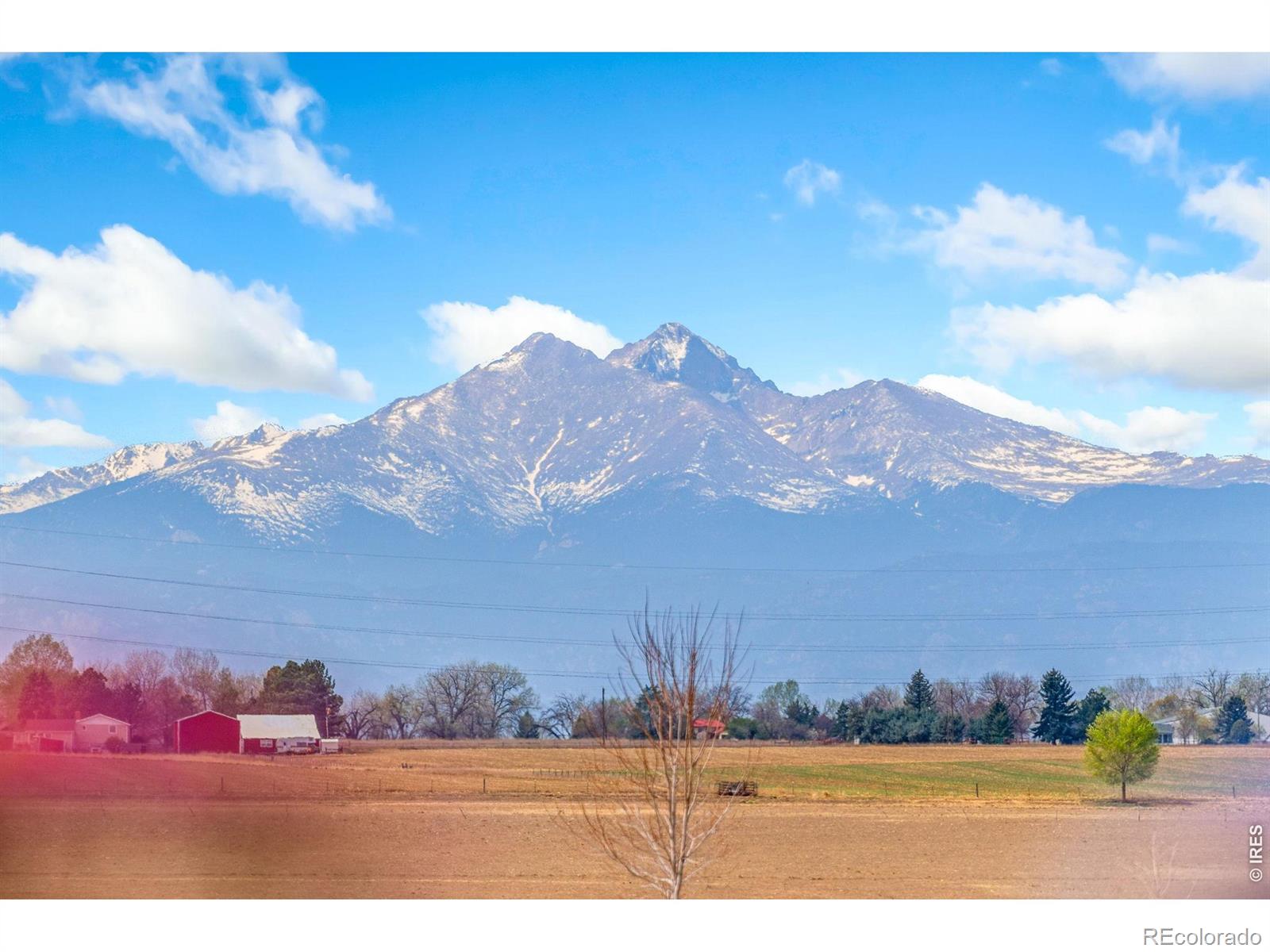 14553 Holstein Drive Mead CO 80542