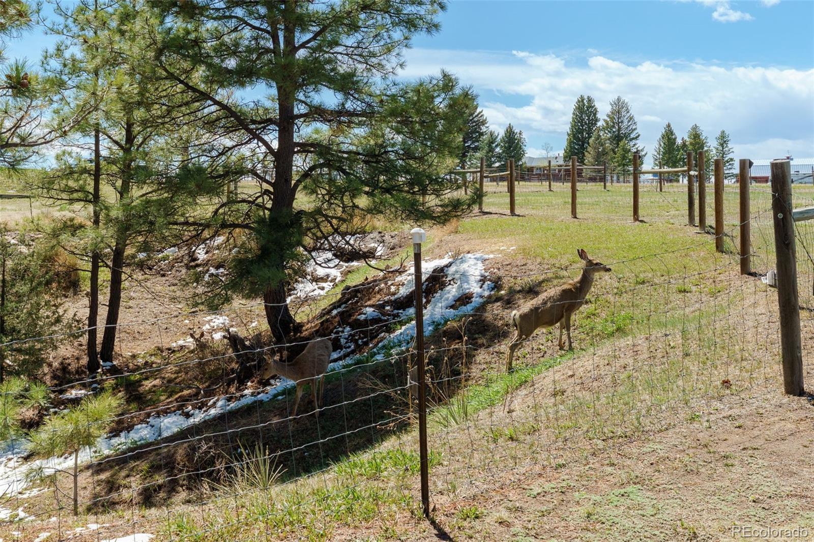 1851 Buttercup Road Elizabeth CO 80107