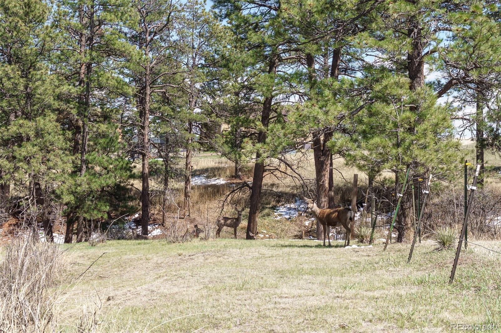 1851 Buttercup Road Elizabeth CO 80107