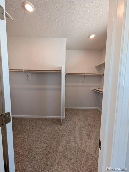 3445 Ballinger Circle Mead CO 80542
