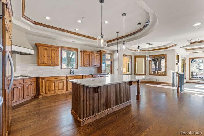 10385 Grande Vista Court Lone Tree CO 80124