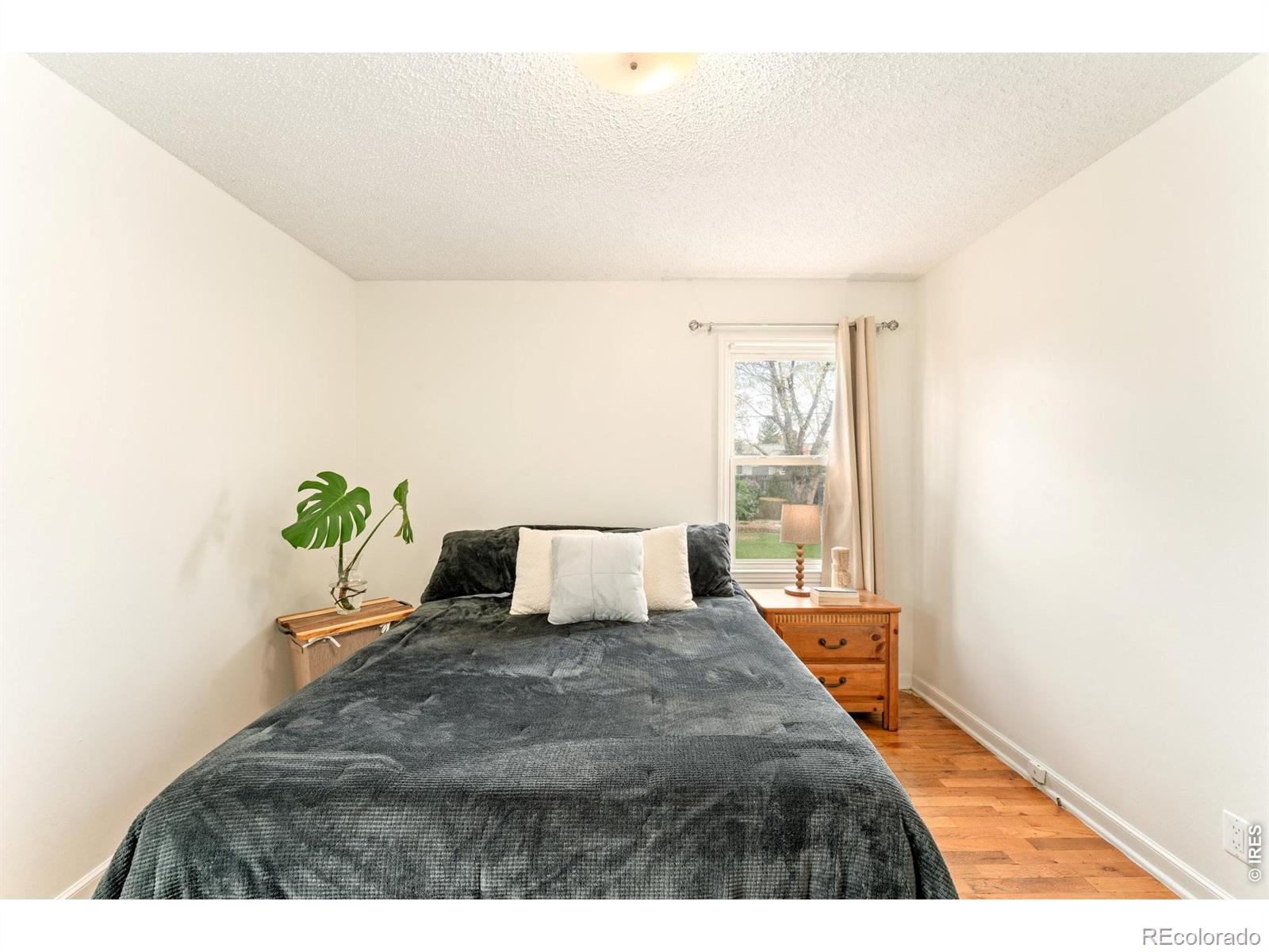 2312 Cleveland Avenue Loveland CO 80538
