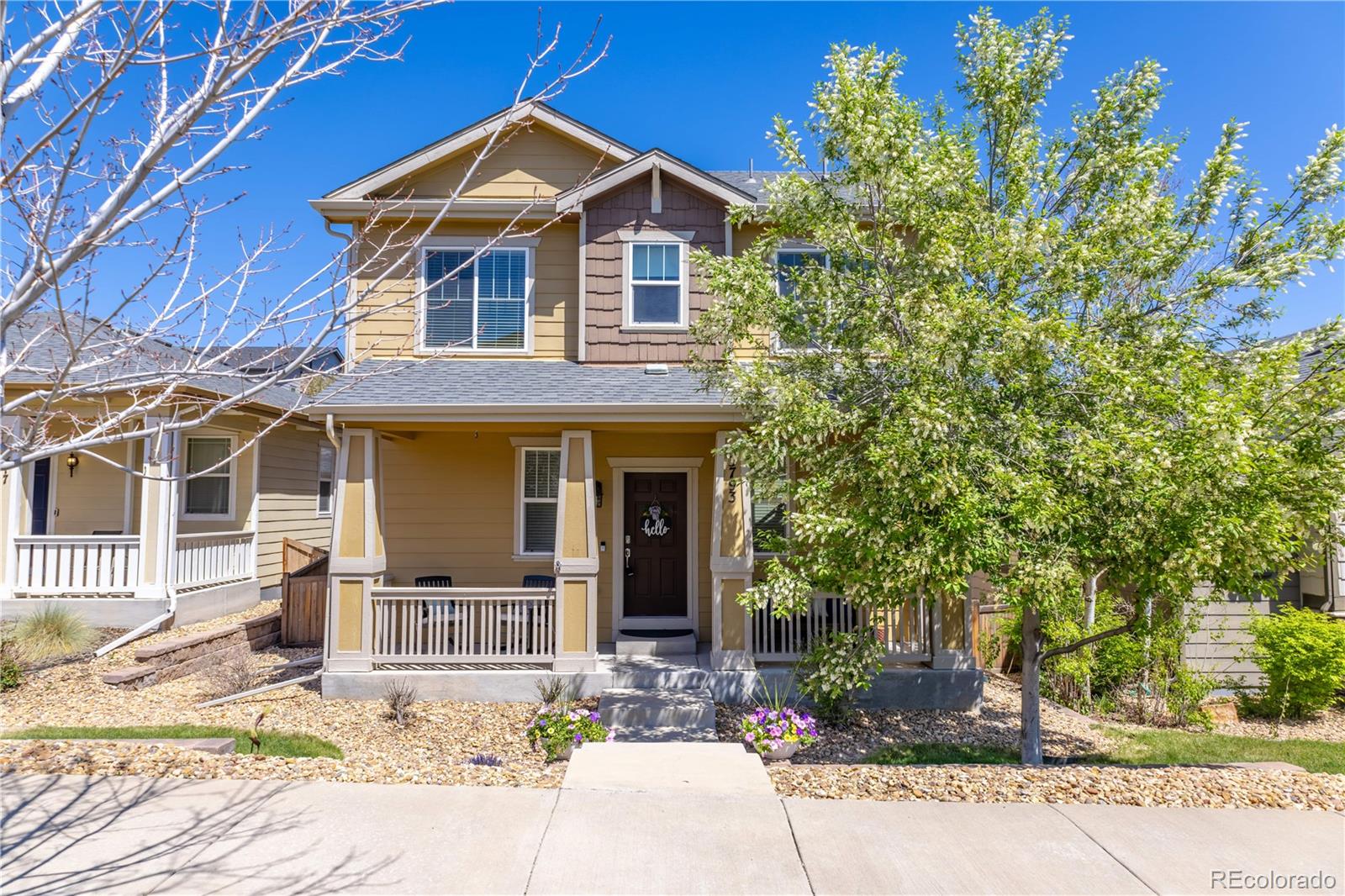 3793 Cadence Drive Castle Rock CO 80109