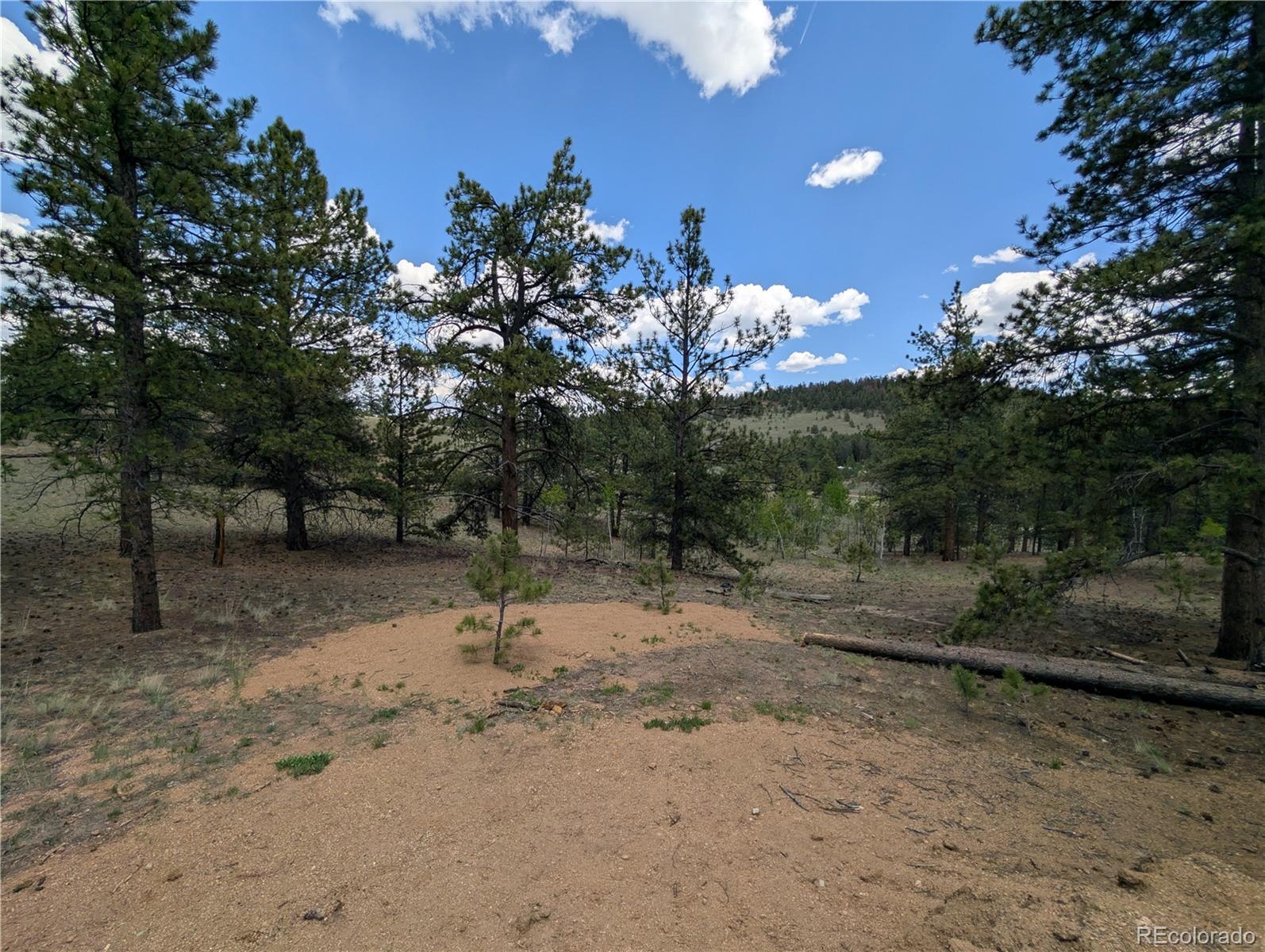 2117 Badger Creek Road Hartsel CO 80449
