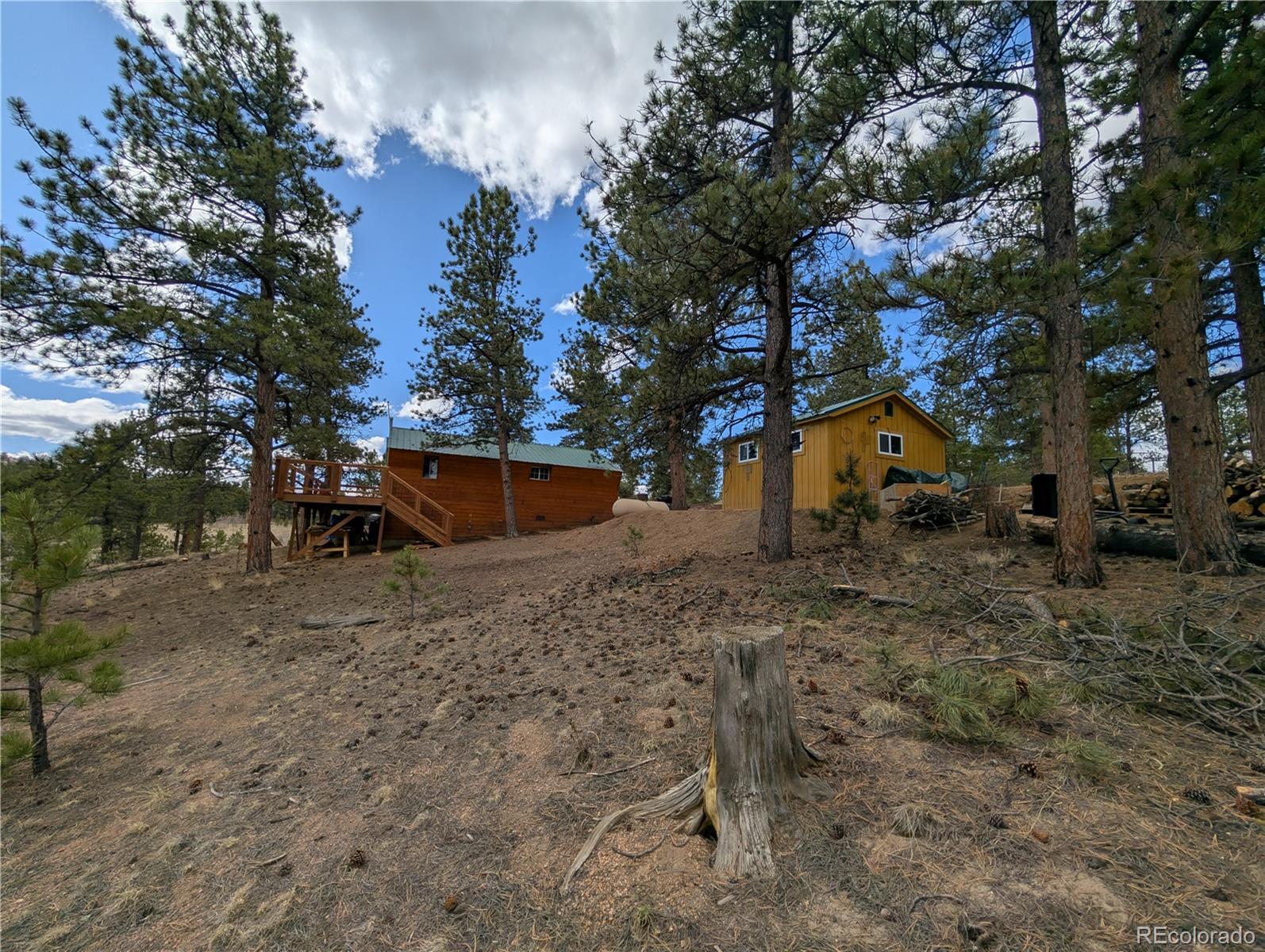 2117 Badger Creek Road Hartsel CO 80449