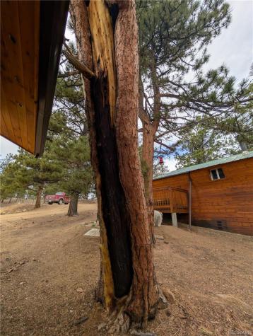 2117 Badger Creek Road Hartsel CO 80449