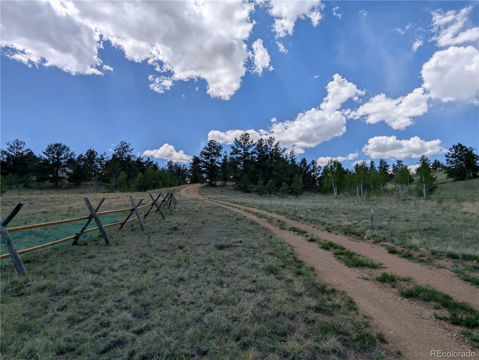 2117 Badger Creek Road Hartsel CO 80449