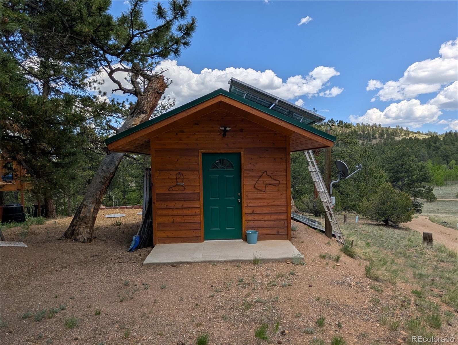 2117 Badger Creek Road Hartsel CO 80449
