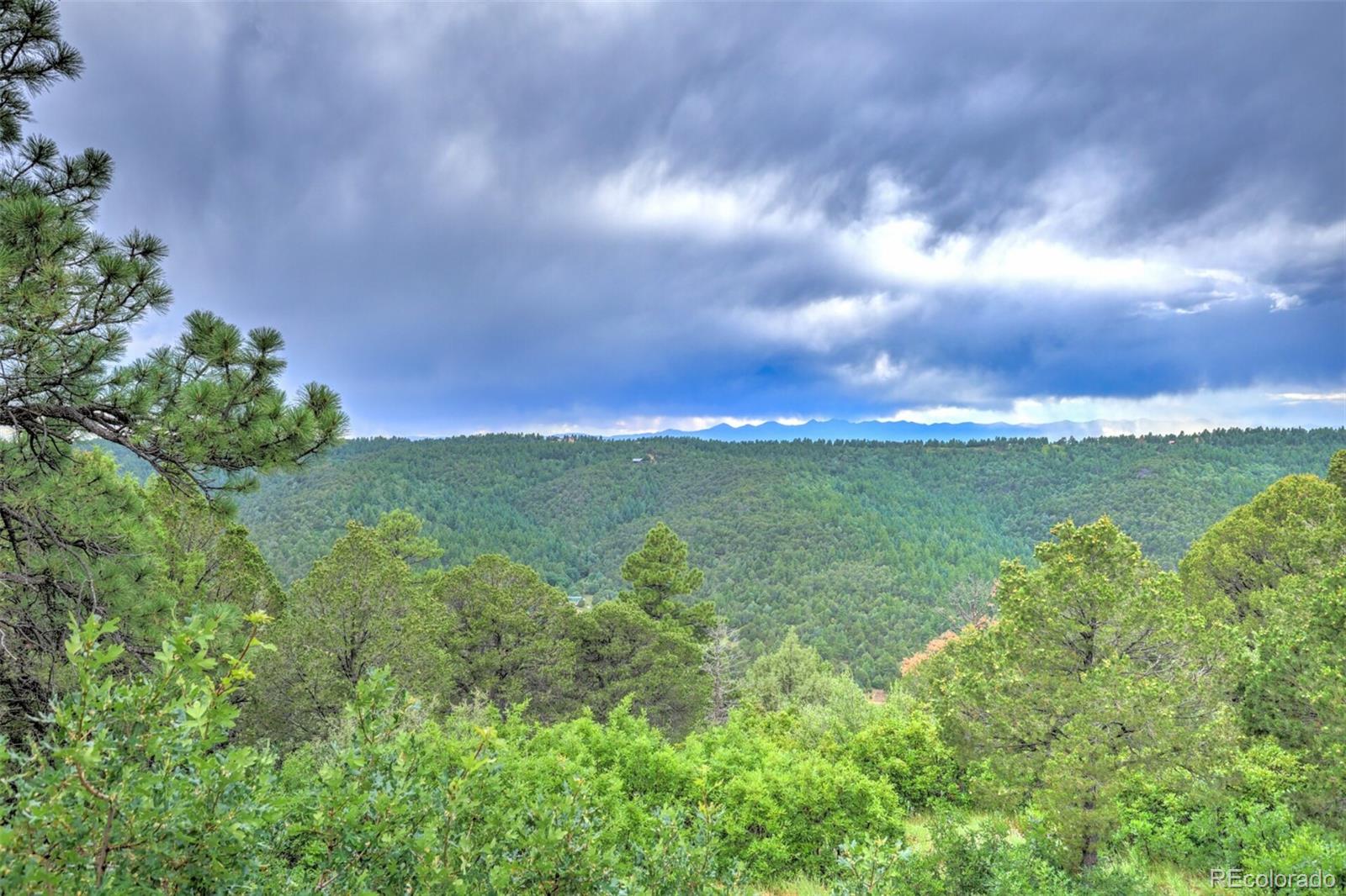 33041 Big Springs Overlook Trinidad CO 81082