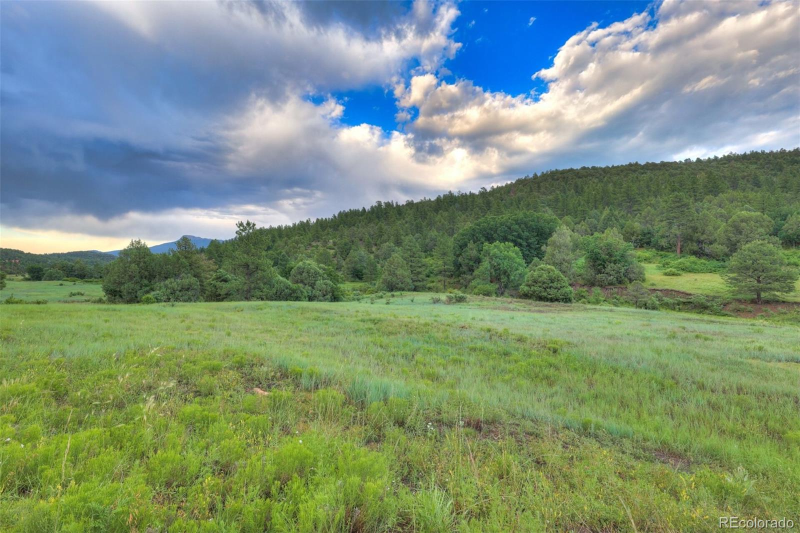 33041 Big Springs Overlook Trinidad CO 81082