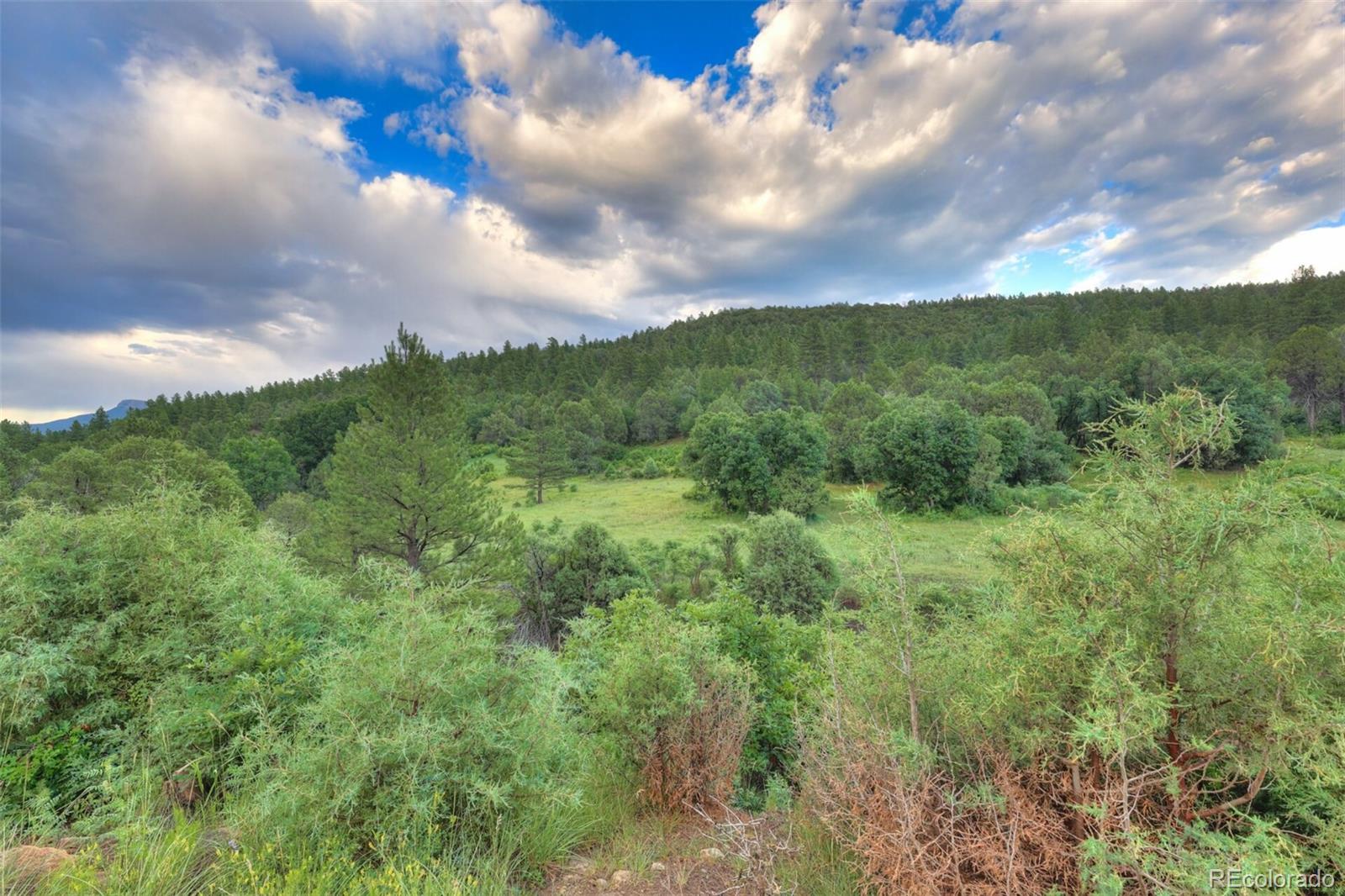 33041 Big Springs Overlook Trinidad CO 81082