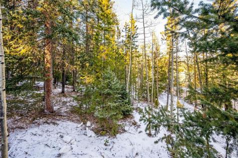 2334 Sinton Road Evergreen CO 80439