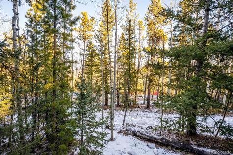 2334 Sinton Road Evergreen CO 80439