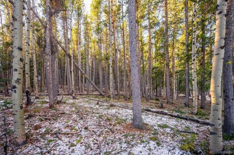 2334 Sinton Road Evergreen CO 80439