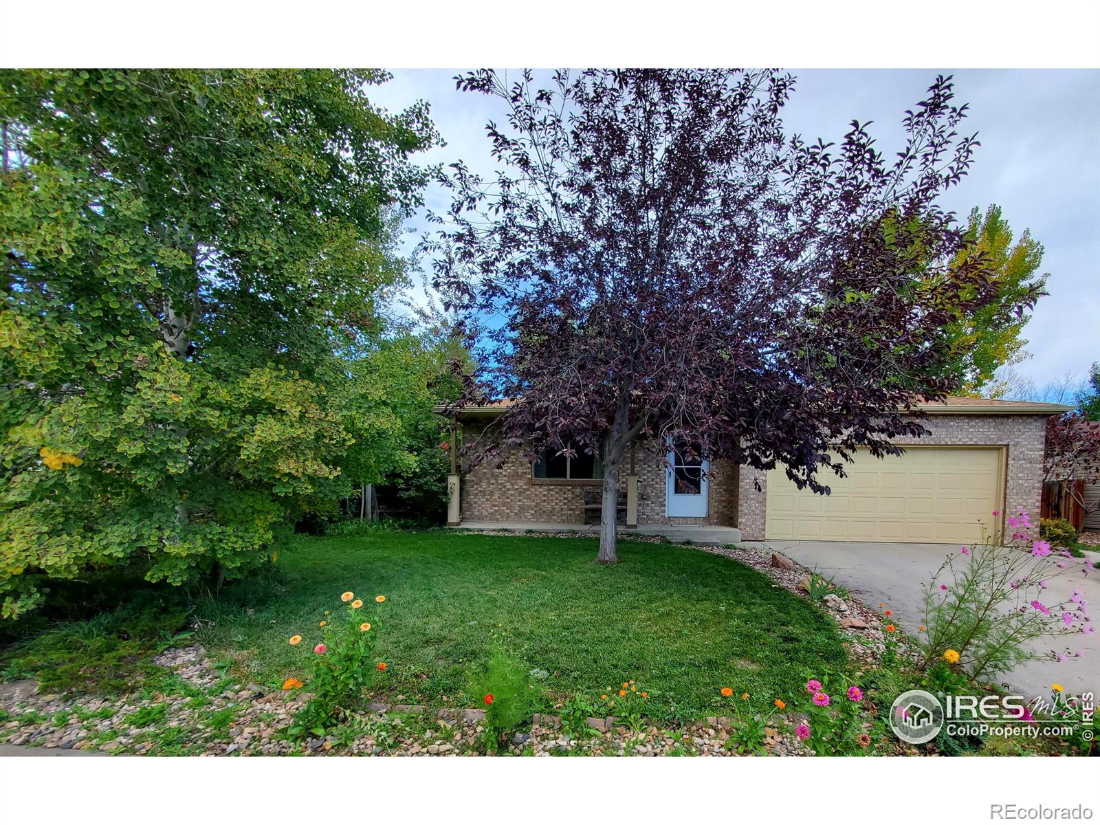 60 Lodgepole Drive Windsor CO 80550